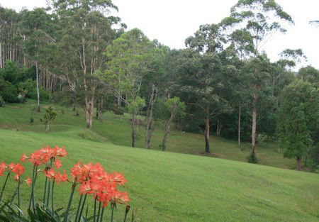 Woodridge Park Country Retreat - Holiday Adelaide 3