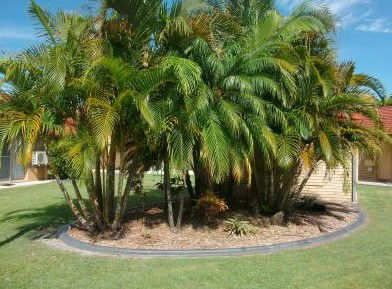 Yamba Motor Inn - Holiday Adelaide 5