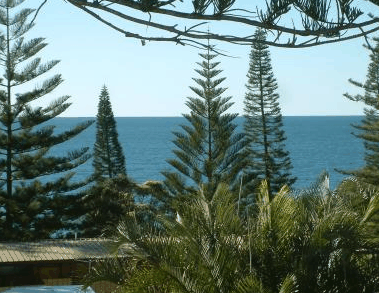Next Seabreeze Beach Hotel - Holiday Adelaide 2