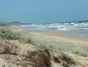 Beachcomber Peregian Beach - Holiday Adelaide 4