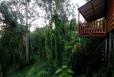 Ravensbourne Forest Chalets - Holiday Adelaide 1