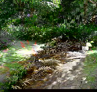 Coco's Country Cottage - Holiday Adelaide