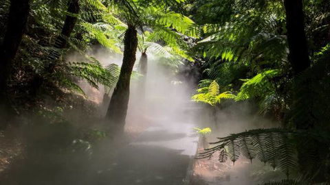Australian National Botanic Gardens - Holiday Adelaide 4