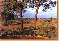Kings Creek Station - Holiday Adelaide 1