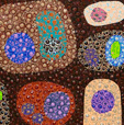 Turner Galleries - Holiday Adelaide