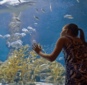 The Aquarium Of Western Australia - Holiday Adelaide 0