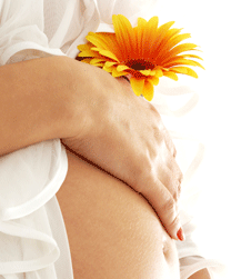 Glow Retreat - Holiday Adelaide 1