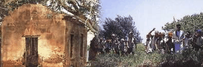 St Helena Island - Holiday Adelaide 1