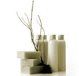 Oasis Day Spa - Holiday Adelaide 0