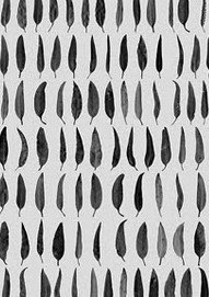 Carbon Black Gallery - Holiday Adelaide 1