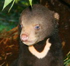 Perth Zoo - Holiday Adelaide 0