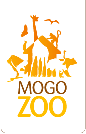 Mogo Zoo - Holiday Adelaide 0