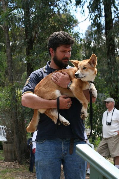 Jirrahlinga Koala & Wildlife Sanctuary - Holiday Adelaide 2