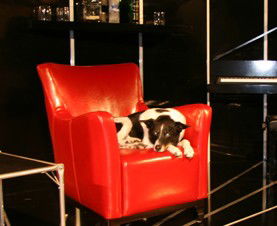 Old Fitzroy Theatre - Holiday Adelaide 0