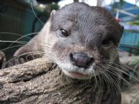 Underwater World - Holiday Adelaide 1