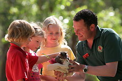 Glandore SA Holiday Adelaide