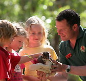 Cleland Wildlife Park - Holiday Adelaide
