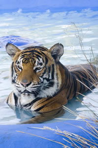 Zoo Doo Wildlife Park - Holiday Adelaide 0