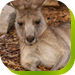  Holiday Adelaide