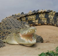 Dundee's Wildlife Park - Holiday Adelaide