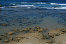 Canberra Contemporary Art Space - Holiday Adelaide 0