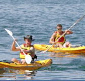 Manly Kayaks - Holiday Adelaide