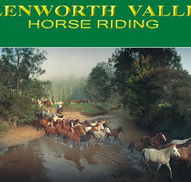 Glenworth Valley Horseriding - Holiday Adelaide