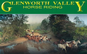 Glenworth Valley Horseriding - Holiday Adelaide 0
