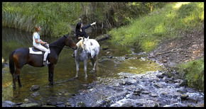 Glenworth Valley Horseriding - Holiday Adelaide 1