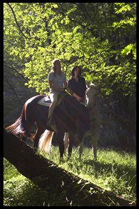 Glenworth Valley Horseriding - Holiday Adelaide 2