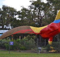 Gumbuya Park - Holiday Adelaide