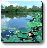 Kakadu National Park - Holiday Adelaide 3