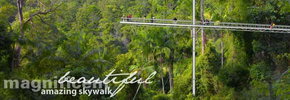 Rainforest Skywalk - Holiday Adelaide 2