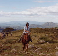 High Country Horses - Holiday Adelaide