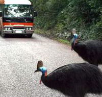 Kookaburra Tours - Holiday Adelaide