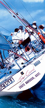 Koala Adventures - Holiday Adelaide 1