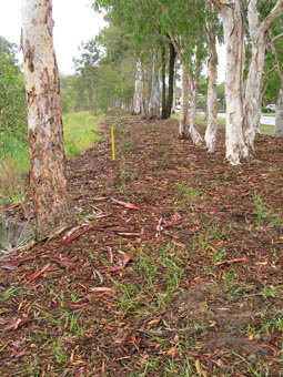 Kumbartcho Sanctuary - Holiday Adelaide 1