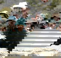 Tasmania Zoo - Holiday Adelaide