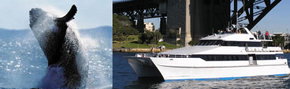 Prestige Harbour Cruises - Holiday Adelaide 3