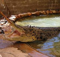 Wyndham Zoological Gardens and Crocodile Park - Holiday Adelaide