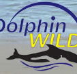 Dolphin Wild - Holiday Adelaide