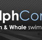 Dolphcom - Dolphin  Whale Swimming Adventures - Holiday Adelaide