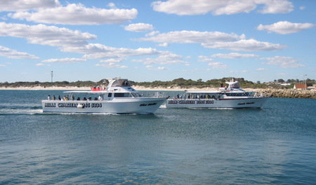 Mills Charters Fishing And Whale Watch Cruises - Holiday Adelaide 2