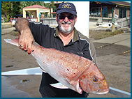 Odyssey Charters - Holiday Adelaide 1