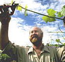 Barossa Experience Tours - Holiday Adelaide