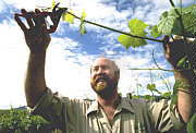 Barossa Experience Tours - Holiday Adelaide 0