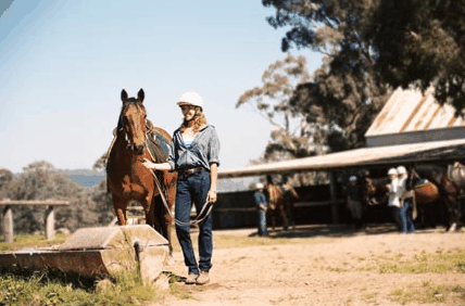 Watsons Trail Rides - Holiday Adelaide