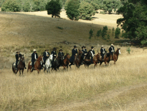 McCormacks Mountain Valley Trail Rides - Holiday Adelaide
