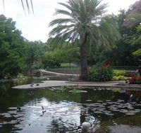 Brisbane City Botanic Gardens - Holiday Adelaide