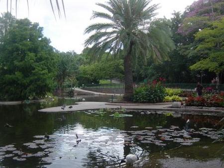 Brisbane City Botanic Gardens - Holiday Adelaide 0